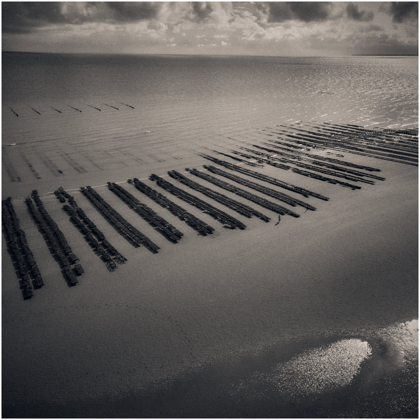 Cotentin33