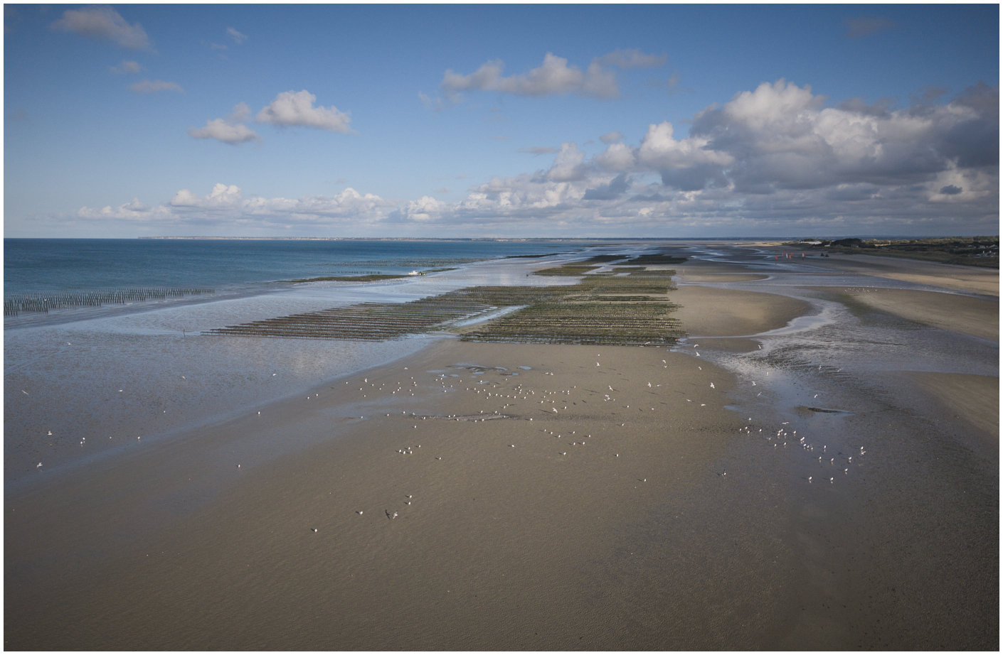 Cotentin5